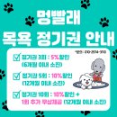 진도세탁소 | [강아지 출장목욕 멍빨래] 반려견 출장 목욕 - 경기도 양평 진도믹스 출장목욕 후기