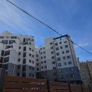 인삼성부동산중개사무소 이미지