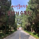 물향기 유치원 | [오산 가볼만한곳] 물향기 수목원 평일 관람 후기