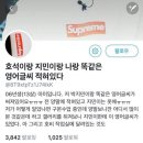 유월구일 | 기말고사 먹금하고 블로그나 들어와~