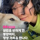 사단법인함께하는우리마음 | [유기견 입양 후기] 셀럽을 반하게 한 똥강아지 '당고', 평생 가족을 만났습니다.
