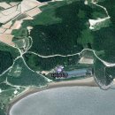 지니비치향 이미지