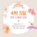 오렌다 핏 | 221014 뚜벅이 여자의 제주도 혼자여행 : DAY 2