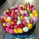 길따라행복 이미지