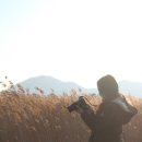 순천만 여행 겨울이 아름다운곳