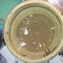 느티나무치과의원 이미지