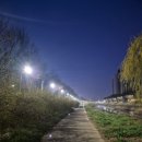 통복천 | 평택시 통복천의 봄소식~ 그리고 모산저수지의 아침...