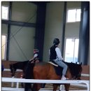 느낌표 펜션 이미지