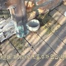 원한증막 이미지