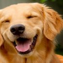 한강동물병원 이미지