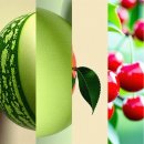 춘천닭갈비 주식회사 이미지