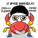 윤석열 아바타 ㅡ한동훈 이미지