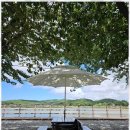 꽃지늘봄펜션 이미지