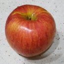 사과 효능 10가지와 사과 칼로리 사과 영양성분 알아봅시다 이미지