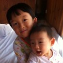 숲속의 별들 이미지