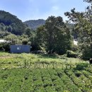 서후리펜션 이미지