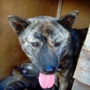 토실 토실 이미지