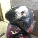 효성세탁크리닝 이미지