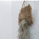 정화 뜨개방 네이버블로그