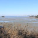 안산-대부-대부-3 이미지