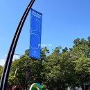 농심가 모라 | [10CM] 서프라이즈로 가득했던 5.0 막공 후기 @핸드볼경기장