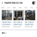 머슬원핏 시화점 이미지