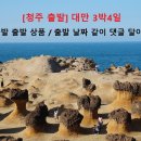 [청주 출발 대만/아류]2024년~2025년 대만/야류 3박4일 안내 이미지