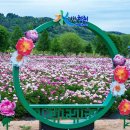 황강생태공원1 이미지