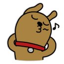 코코넛라이브