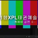XPL 태권예술단 이미지