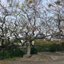 절부마을 이미지