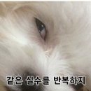 스마일스튜디오 - 북구 북문대로 53 | 스마일스튜디오