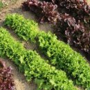 수리산 임도오거리 화장실 이미지