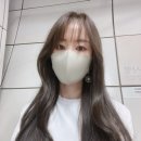 벨레사