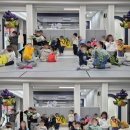 하라온태권도 이미지