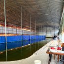 삼사낚시터 이미지