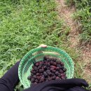 백령도서관 이미지