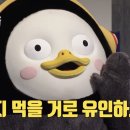 약사촌닭갈비 네이버블로그
