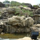 아름다운 동행 이미지