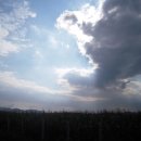 영림농장 이미지