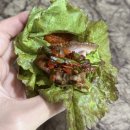 삼가족발 | 낭만식탁 순살족발 가성비 좋은 간편한 족발 후기