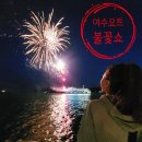여수 밤바다의 낭만 🚢 대형 요트에서 즐긴 환상적인 불꽃쇼🎆 &amp; 낭만포차 돌문어삼합 후기(내돈내산)