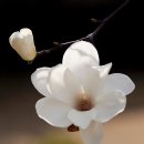 글쓰기 레시피, 봄 이미지