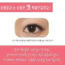 아웃라인