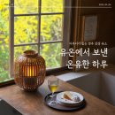 별보리스테이 | 있는 감성 숙소 유온 스테이에서 보낸 온유한 하루 - 숲뷰 풀패키지 내돈내산 후기(스파, 석식, 조식...