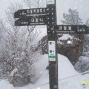 지리산서바이벌 이미지