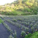 적상면010 이미지