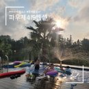 파우제419 펜션 | [제주] 파우제419펜션 : 재방문 독채 풀빌라 온수 실내골프 노래방 귤밭뷰 단독사용 고급인테리어 가족...