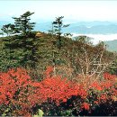 체르맛트 이미지