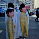 벌교 하루살이가 벌굔교? 🏡 이미지